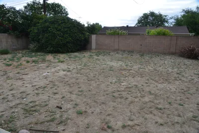 DSC_7323 (Large).JPG